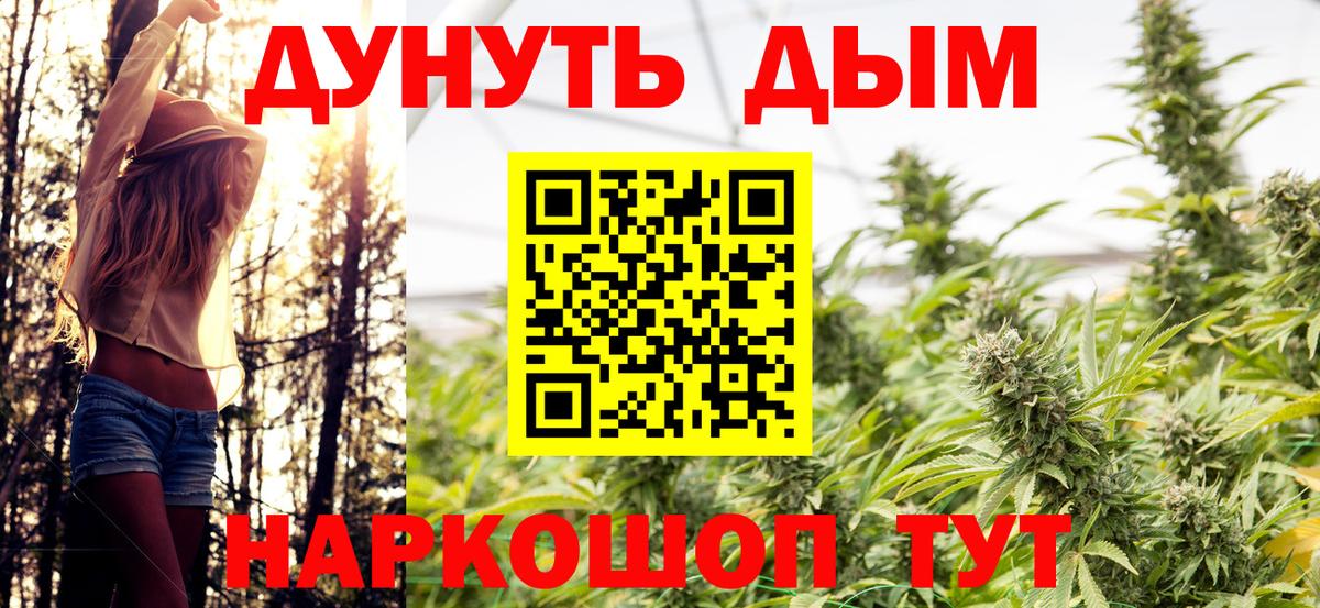 Бошки Шишки марихуана  МАРИХУАНА тримм  Канабис план  Ангарск  Бошки марихуана конопля  Вход с VPN 